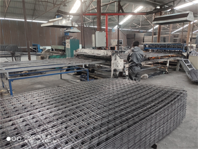 2乘4米網片.jpg 2乘4米網片.jpg